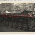 [Z.Pz.Lehr.Abt.001] C135 Foto Wehrmacht Panzer Lehr Abtl. Parade Berlin Prinz von Jugoslawien 1939