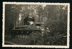 [Z.Pz.Nachr.Abt.39.001] B036 Panzer durch den Wald Polen 2. WK 1933-45 Panzerregiment aw