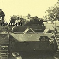 [Pz3][#003]{004}{a} Pz.Kpfw III Ausf.D, Pz.Rgt.1, #243