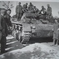 [Pz3][#002]{001}{a} Pz.Kpfw III Ausf.D, Pz.Rgt.1, #242