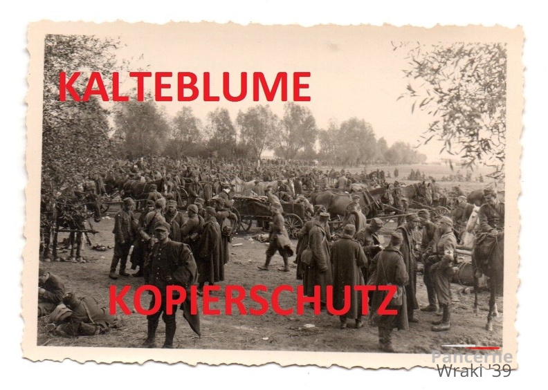 [Z.Inf.Rgt.102.001] 2 WK Foto , Polnische Kriegsgefangene , Region Lodz , Polen Feldzug 1939 a.jpg