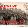 [Z.Inf.Rgt.102.001] 2 WK Foto , Polnische Kriegsgefangene , Region Lodz , Polen Feldzug 1939 a