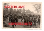 [Z.Inf.Rgt.102.001] 2 WK Foto , Polnische Kriegsgefangene , Region Lodz , Polen Feldzug 1939 a