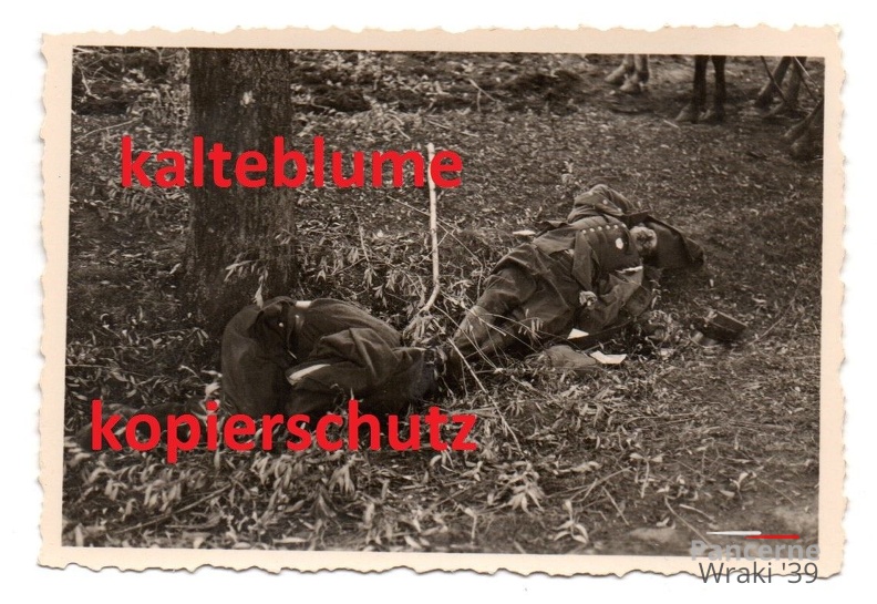 [Z.Inf.Rgt.102.001] 2 WK Foto , Polnischer General , Polen Feldzug 1939 a.jpg