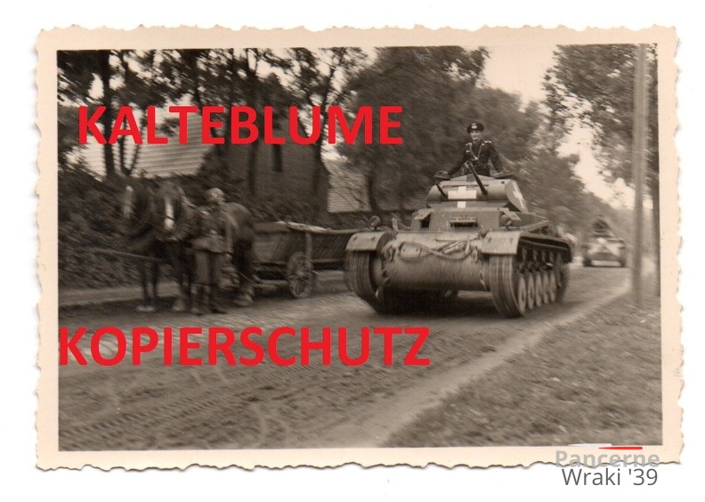 [Z.Inf.Rgt.102.001] Panzerkommandant Deutsche Panzer II in Warta Region Lodz , Polen Feldzug 1939 a.jpg