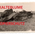 [Z.Inf.Rgt.102.001] Zerstörter Panzer IV in Polen , Polen Feldzug 1939 nr2 a