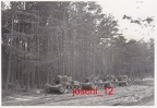 [Vickers][#021][#022][#023][#024]{102}{a} 12.KCzL, okolice Tomaszowa Lubelskiego (na drodze przy lesie) ( 4 x dwuwieżowy )