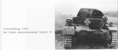 [Pz2][#300]{105}{a} Pz.Kpfw II Ausf.C, Pz.Rgt.36, #222, Mokra
