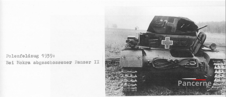 [Pz2][#300]{105}{a} Pz.Kpfw II Ausf.C, Pz.Rgt.36, #222, Mokra.jpg