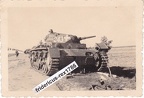 [Pz3][#003]{002}{b} Pz.Kpfw III Ausf.D, Pz.Rgt.1, #243 aw
