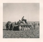 Pz.II [#605] Pz.Kpfw II Ausf.C, #641, pole, antena