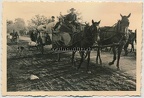 [Z.Art.Rgt.07.001] #031 Foto polnische Flüchtlinge Bevölkerung m. Pferd Wagen in Polen 1939