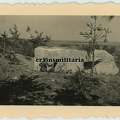 [Z.Inf.Rgt.44.001] Foto polnische Bunker in Polen 1939 nach Angriff 11.ID