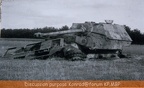 Sd.Kfz.184 Panzerjäger Tiger (P) Elefant, 614 Schwere Panzerjager Kompanie, Morawica (01)