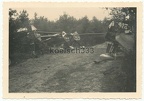 [Z.Inf.Rgt.91.001] Foto polnische Flugzeug Wracks in einem Wald - Beute Luftwaffe Polen 1939 IR 91