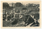 [Z.Inf.Rgt.91.001] Foto Soldaten der Wehrmacht bauen eine Brücke in Krasnystaw Polen 1939 IR 91