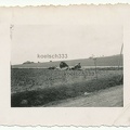 [Z.Pz.Rgt.04.001] #030 Foto polnisches Flugzeug Wrack auf einem Feld in Polen 1939 Polenfeldzug