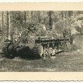 [Z.Pz.Rgt.04.001] #038 Foto Panzer I vom Panzer Regiment 4 im Wald in Polen 1939 Polenfeldzug 2. Pz.