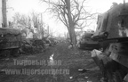 Sd.Kfz.182 Pz.Kpfw VI Ausf.B, s.SS-Pz.Abt 503, Gdańsk, Stogi (003){a}