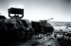 Sd.Kfz 251!22 Ausf.D, Gdynia, Babie Doły (004){a}