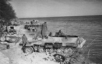 Sd.Kfz 251!3 Ausf.D, Gdynia, Babie Doły (002){a}