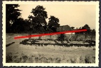 [Z.X0036] Foto Soldatengrab polnische Soldaten Stahlhelm 1939 Polen Feldzug aw