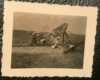 [Z.Pz.Rgt.35.003] Foto Abgestürztes Russisches Flugzeug. Panzerregiment 35 Bamberg aw