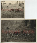 [Z.s.Art.Abt.(mot.).641.001] D898 Fotos Wehrmacht Artillerie Abt.641 Polen Radom Grab kia Soldat Stahlhelm !
