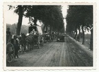 [Z.Pz.Abw.Abt.252.001] #029 Foto polnische Flüchtlinge mit Pferde Feldwagen im Kreis Gnesen Polen 1939