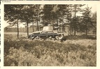 [Pz.Kpfw.35(t)], Pz.Rgt.11, #533, (001){a} beutepanzer 35t kampfeinsatz kamiensk piotrkow polen 1939