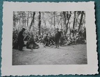 [Z.Pz.Abt.65.004] #071 Photo FD 1939 Vormarsch Warschau Polen gefangene Juden captured Jews Wald aw