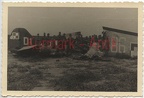 [Z.Art.Rgt.31.002] S385 Foto Wehrmacht Polen Feldzug Beute Flugzeug crash plane TOP !