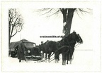 [Z.X0057] Orig. Foto Pferde schleppen Opel Blitz Lkw b. TUCHEL Tucheler Heide Polen 1939