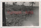 [Z.Pi.Btl.70.001] Q128 Foto Wehrmacht Brü Ko Pionier Bat.70 Polen San Front barb wire trench Front
