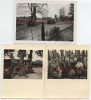 [Z.Pi.Btl.70.001] Q166 Fotos Wehrmacht Pio Bat 70 Polen Front Jaworiw Ruinen LKW Halbkette POW TOP