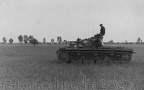 [Pz.Kpfw.III Ausf.D], Pz.Rgt.2, #100 (002){a}