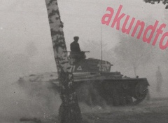 [Pz.Kpfw.III Ausf.D], Pz.Rgt.1, #231 (001){a}