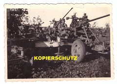 [Bofors40mm] Foto Polen 40mm FLAK wz 36,Bofors,Beutegeschütz,anti aircraft,1939 Poland,Soldat