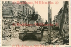 [Z.Pz.Rgt.11.010] P06 Polen Wielun Panzer-Regt.11 Panzerkampfwagen 35(t) Skoda Nr 511 + 507 .PD TOP aw.jpg