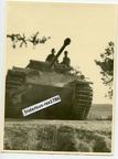 C29 Foto 3 Panzer V Panther 19. Pz Div. Warka-Brückenkopf Warschau 44 camo HKL