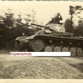 [Pz.Kpfw.II Ausf.C] Pz.Rgt.11, #703 (001){b}