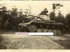 [Pz.Kpfw.II Ausf.C] Pz.Rgt.11, #703 (001){b}