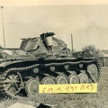 [Pz.Kpfw.II Ausf.C] Pz.Rgt.1, #335 (001){a}