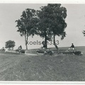 [Z.SS.Rgt.Deut.002] Foto Panzer II Kampfwagen der Wehrmacht auf dem Vormarsch in Polen 1939 Tanks !