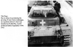 [Pz.Bef.Wg.III Ausf.E], 4.Pz.Div, #D01 (003){b}