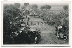 [Z.Pz.Lehr.Abt.002] panzer bereitstellung polen 1939 kampfwagen tanks polenfeldzug