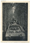[Z.Pz.Lehr.Abt.002] panzer iii kolonne im polnischen wald  polenfeldzug polen 1939