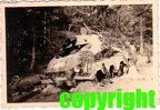 PSW [#601] Sd.Kfz.263 (8 Rad), Aufkl.Abt.(mot.).X, bok drogi w lesie