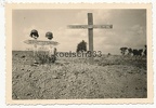 [Z.Kw.Tr.Rgt.602.001] Foto (1) Gräber gefallener Soldaten der Wehrmacht in Schönau Swierzawa Polen 1939