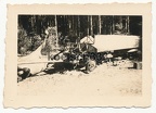 [Z.Kw.Tr.Rgt.602.001] Foto (1) Pferde Kadaver und Boot Anhänger polnischer Pioniere bei Schönau